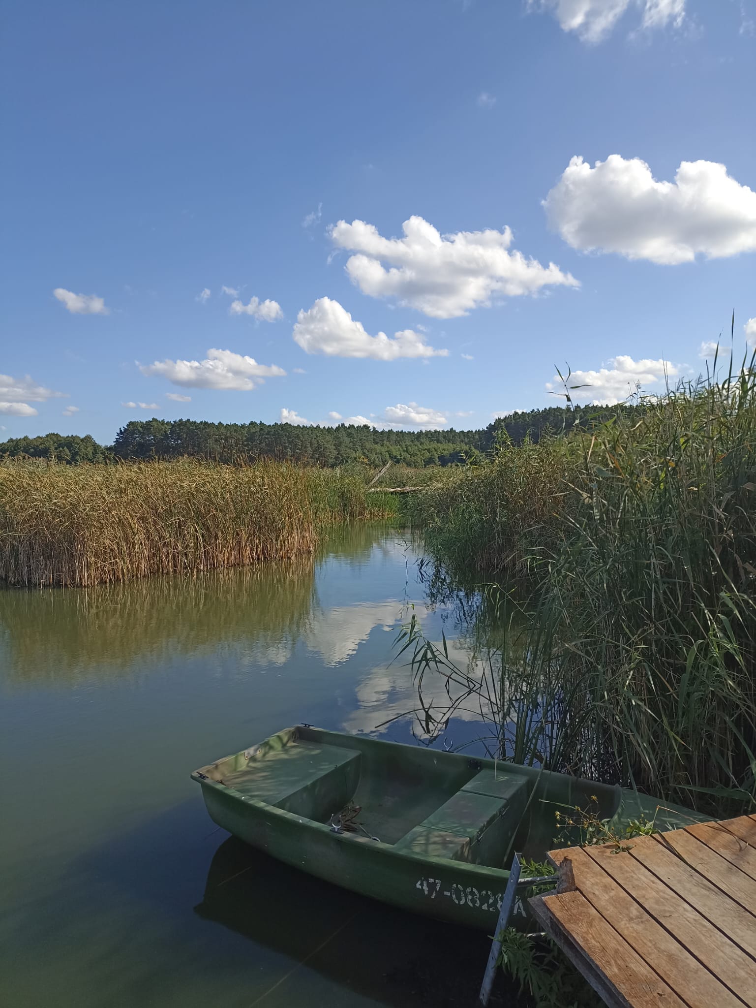 jezioro, rzeka, Obra, kajaki, łódki, wędkowanie, woda, wypoczynek